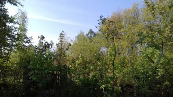 Działka 14815 m2 w będziński