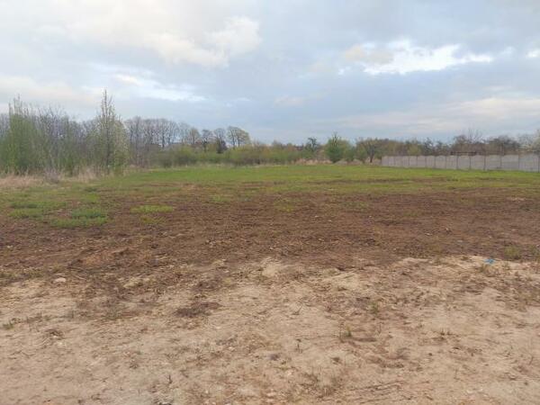 Działka 1621 m2 w Dąbrowa Górnicza