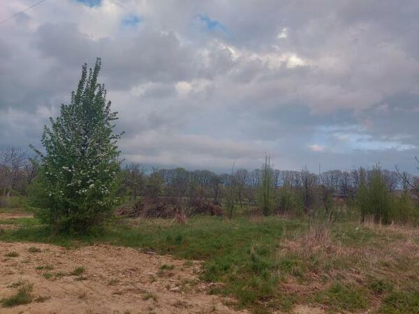 Działka 1621 m2 w Dąbrowa Górnicza