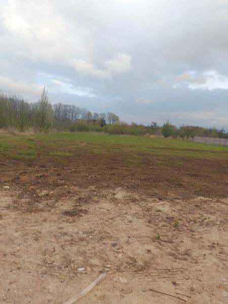 Działka 1621 m2 w Dąbrowa Górnicza