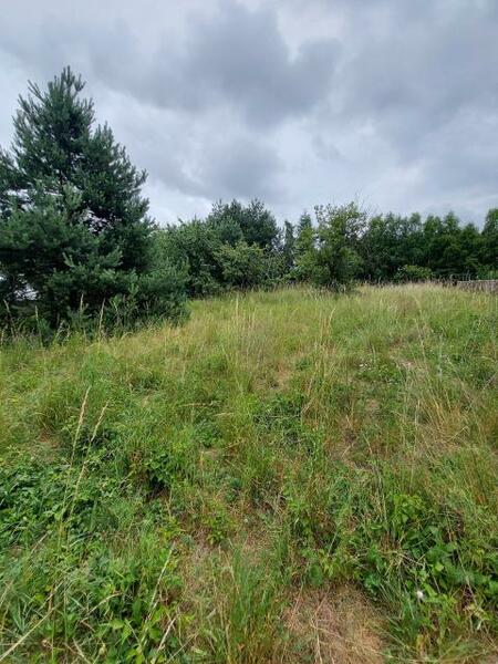 Działka 2467 m2 w Dąbrowa Górnicza