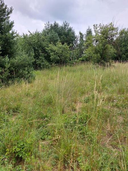 Działka 2467 m2 w Dąbrowa Górnicza