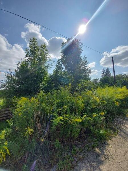 Działka 9721 m2 w będziński