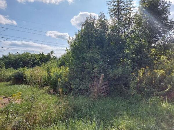 Działka 1270 m2 w zawierciański