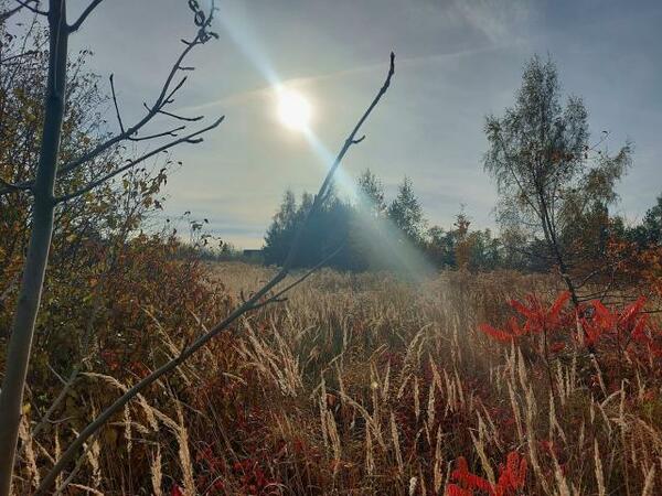 Działka 1180 m2 w zawierciański