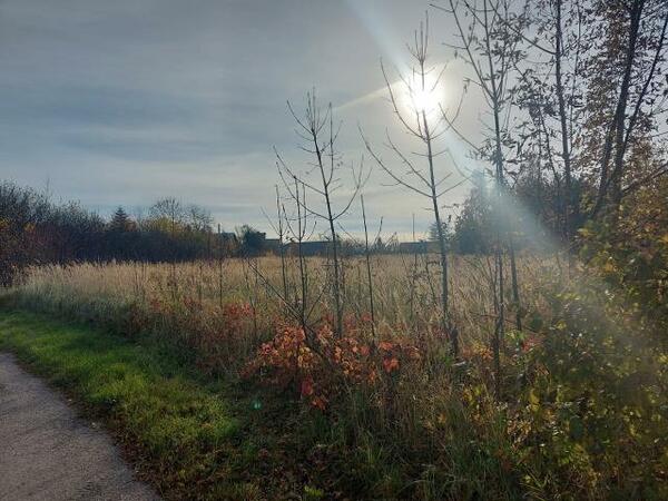 Działka 1180 m2 w zawierciański