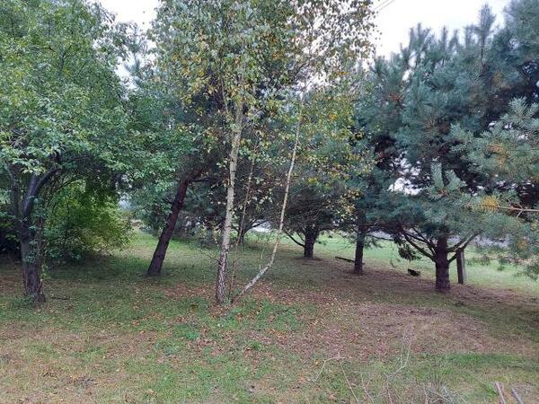 Działka 1360 m2 w Dąbrowa Górnicza