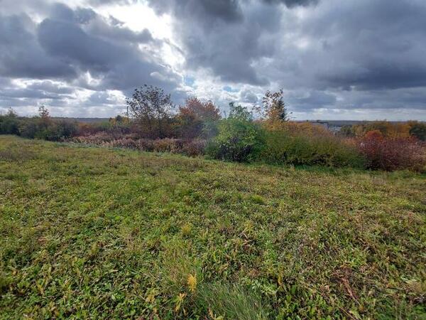 Działka 2219 m2 w będziński