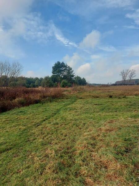 Działka 15751 m2 w zawierciański