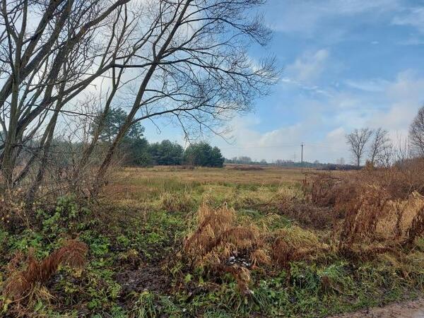 Działka 15751 m2 w zawierciański