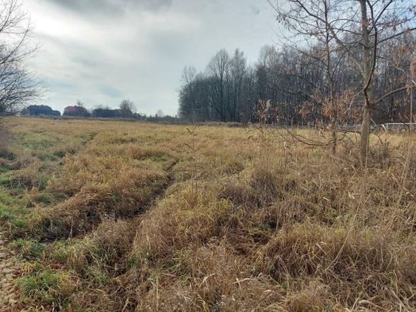 Działka 4372 m2 w zawierciański