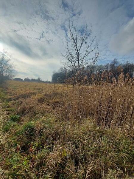 Działka 4372 m2 w zawierciański