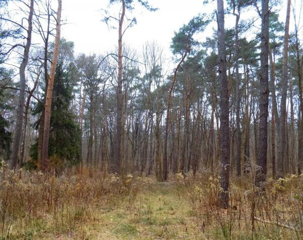 Działka 2030 m2 w Warszawa