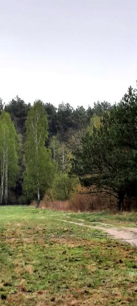 Działka 9600 m2 w otwocki