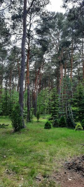 Działka 2500 m2 w otwocki