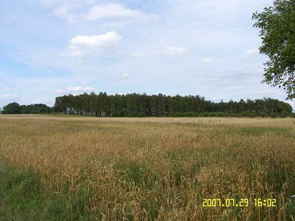 Działka 61000 m2 w sochaczewski