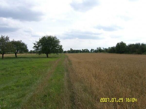 Działka 61000 m2 w sochaczewski