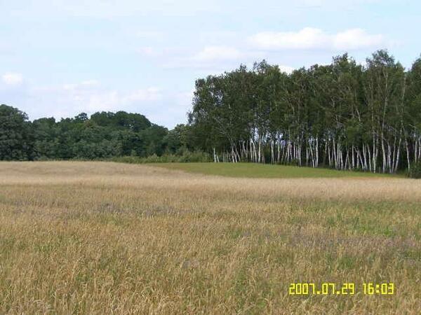 Działka 61000 m2 w sochaczewski