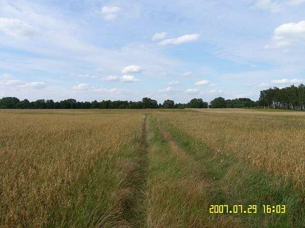 Działka 61000 m2 w sochaczewski