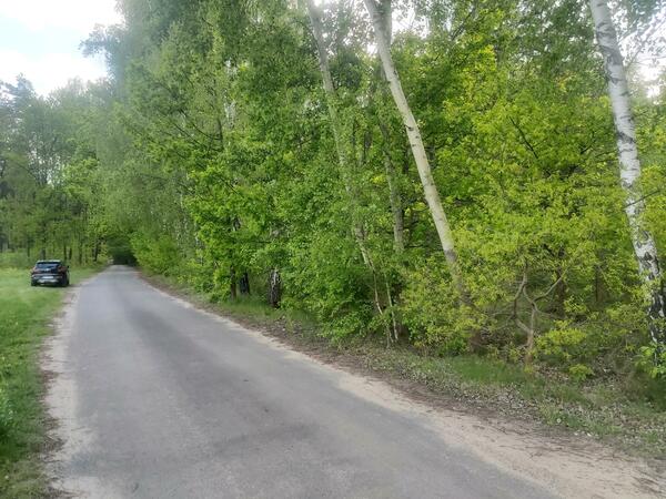 Działka 4812 m2 w pruszkowski