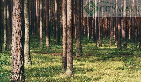 Działka 2176 m2 w warszawski zachodni