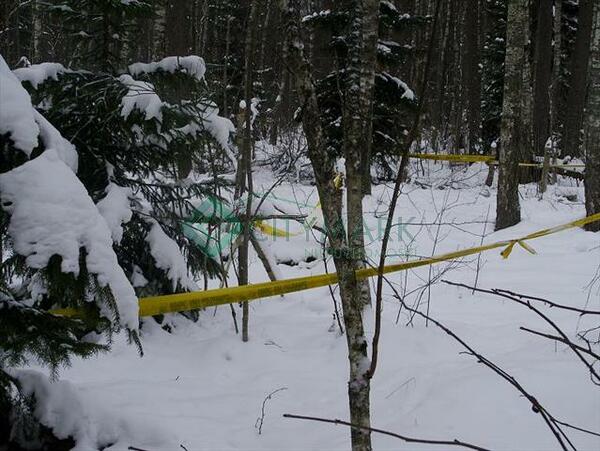 Działka 180000 m2 w gołdapski