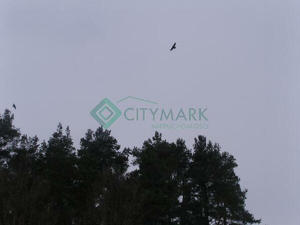 Działka 180000 m2 w gołdapski