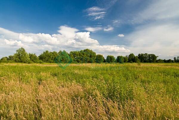 Działka 4553 m2 w otwocki