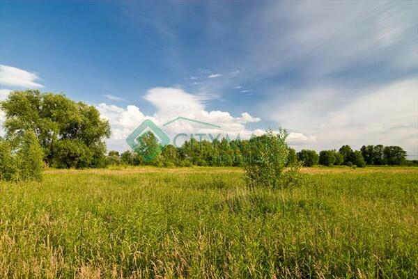 Działka 4553 m2 w otwocki