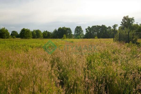 Działka 4553 m2 w otwocki