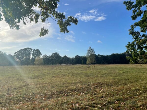 Działka 931 m2 w Rzędziny