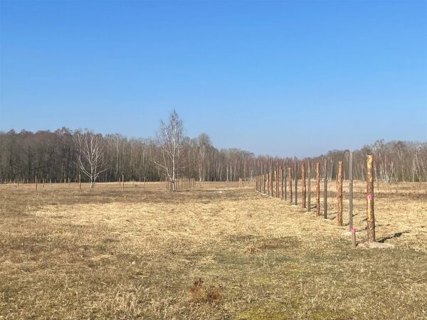 Działka 931 m2 w Rzędziny