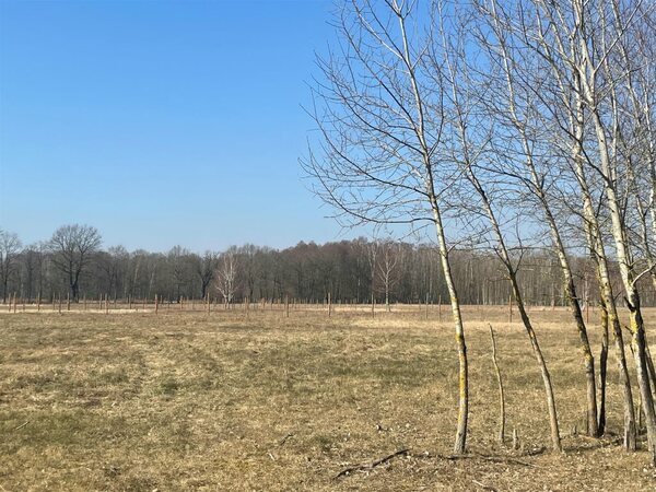 Działka 750 m2 w Rzędziny