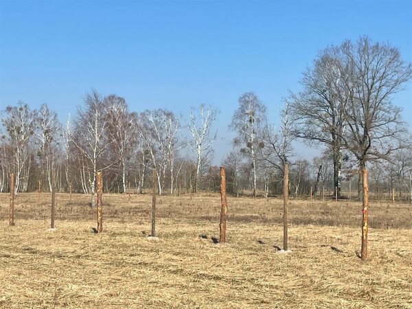 Działka 750 m2 w Rzędziny