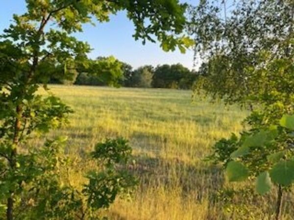 Działka 1200 m2 w Rzędziny