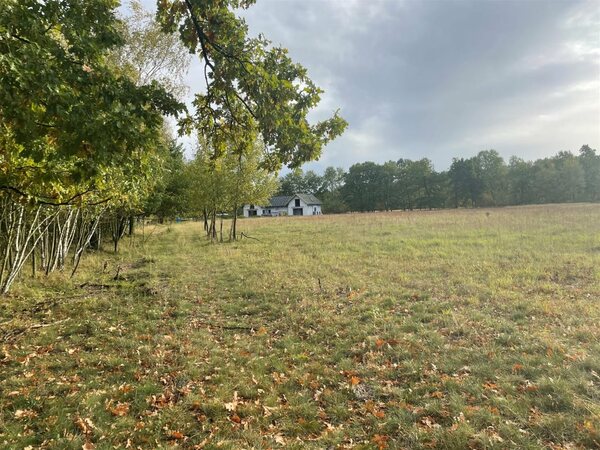 Działka 1200 m2 w Rzędziny