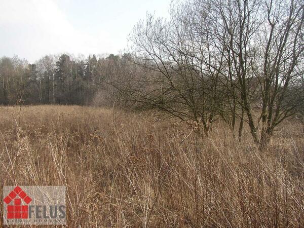 Działka 2200 m2 w Wołowice