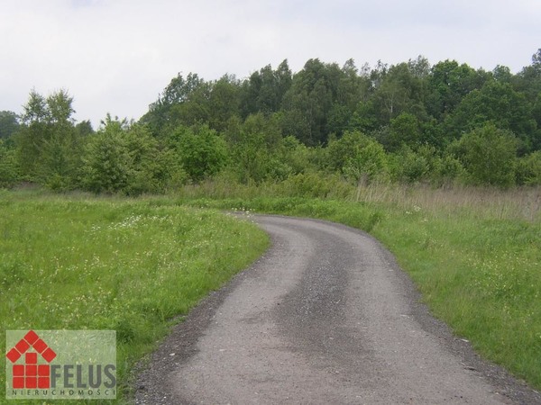 Działka 1500 m2 w Przeginia Narodowa