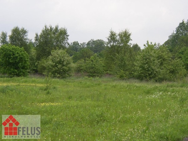 Działka 1500 m2 w Przeginia Narodowa