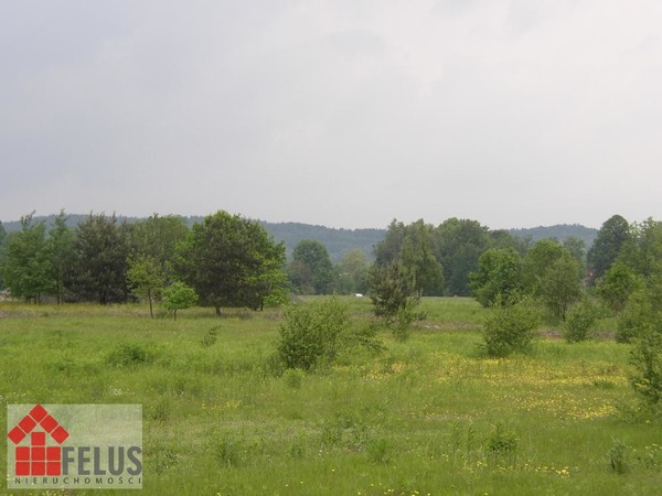 Działka 1500 m2 w Przeginia Narodowa