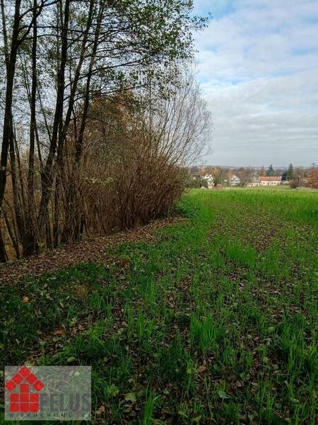 Działka 4900 m2 w Sosnowice