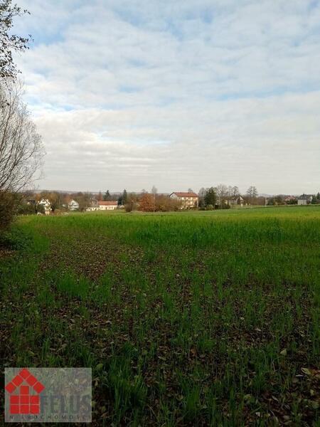 Działka 4900 m2 w Sosnowice