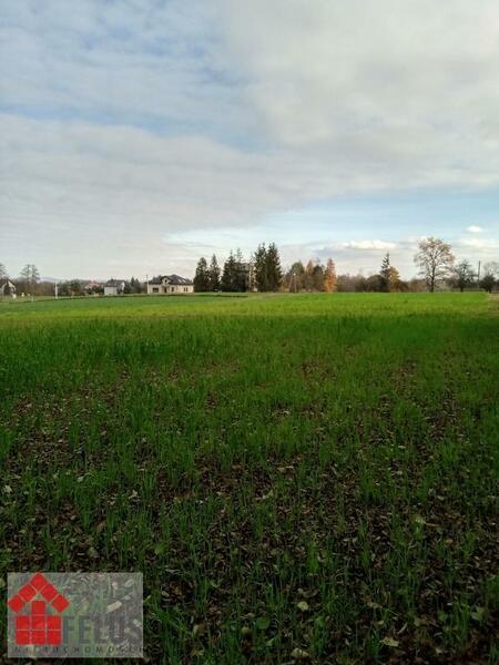 Działka 4900 m2 w Sosnowice