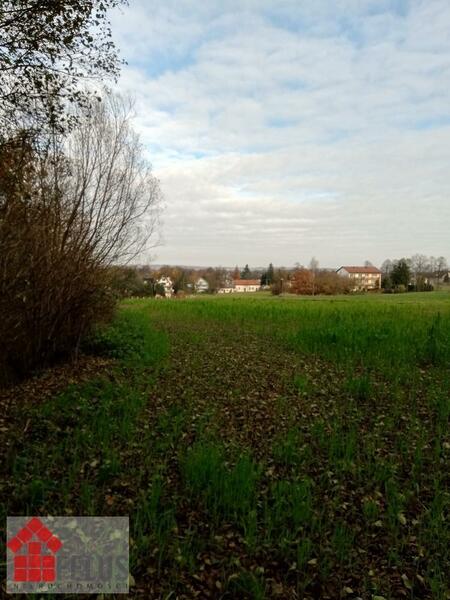 Działka 4900 m2 w Sosnowice