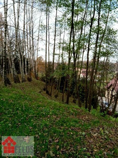 Działka 4900 m2 w Sosnowice