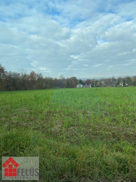 Działka 4900 m2 w Sosnowice