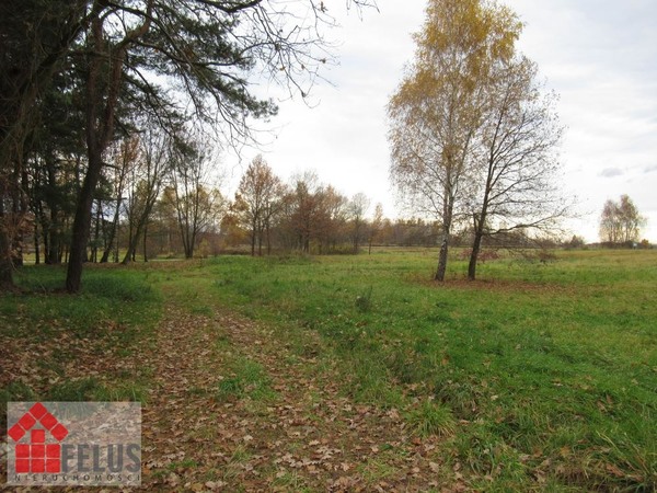 Działka 1300 m2 w Rączna