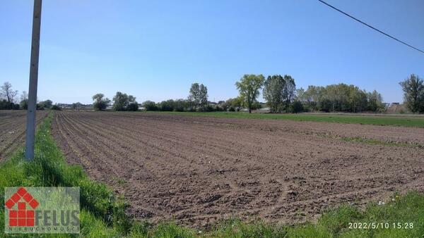 Działka 5200 m2 w Zofipole