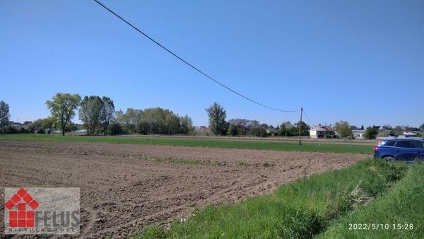 Działka 5200 m2 w Zofipole