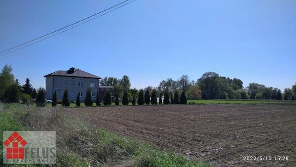 Działka 5200 m2 w Zofipole